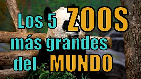 ¿Dónde está el zoológico más grande del mundo?