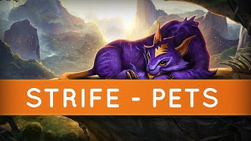 Strife - Pets