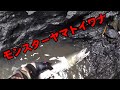 テンカラでモンスターヤマトイワナ【テンカラ】