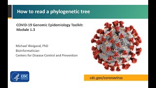 Module 1.3 - How to read a phylogenetic tree