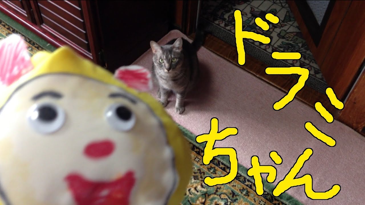 猫動画 裁縫でドラミちゃん Cat Videos Dorami Chan Sewing Youtube