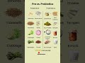Top 8 Prebiotic & Probiotic Foods That Fix Your Gut Naturally