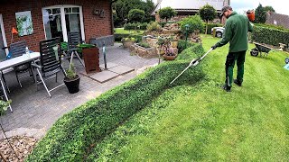 A Small Boxwood Hedge is the PERFECT Pruning