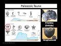 Lecture 2: Ordovician and Silurian