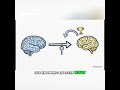 AI Prompt Engineering Reclaim Your Weekends & Boost Revenue