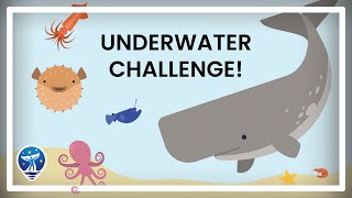 Matching Memory Game for Toddlers | Brain Training screenshot 1