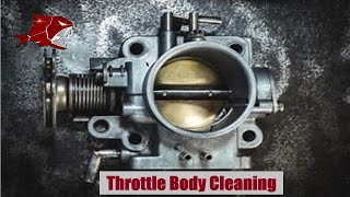 2004 Cadillac Deville throttle body cleaning