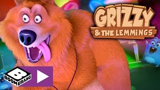 Grizzy och Lämlarna | Högspänning Bear Attack | Boomerang Sverige Resimi