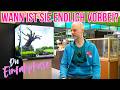Wann ist die Einfahrphase vorbei? 🚨 3 Merkmale für ein stabiles Aquarium Mp3 Song