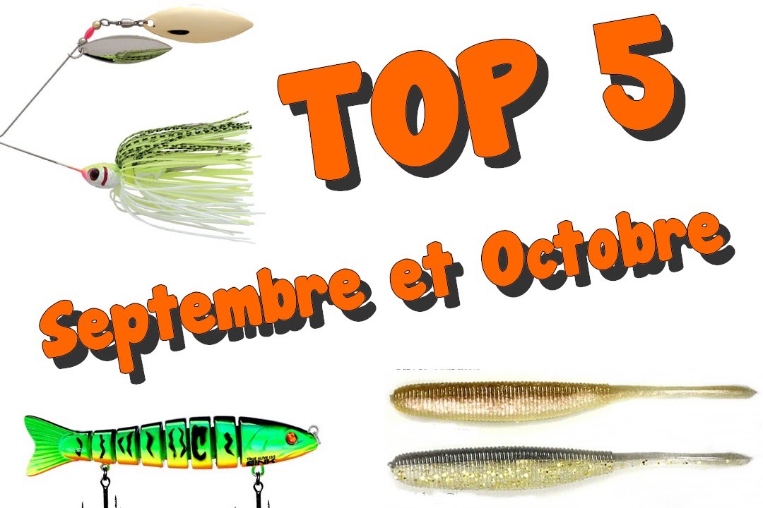 5 leurres souples Orka Double Tail FY 10cm mer rivière brochet sandre