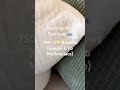 Highest Quality Used Couches in Idaho! ✨