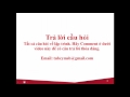 [Tiếng Nhật Cho Trẻ Em] Trại Hè Nhật Bản 2016 - Cảm nhận của con