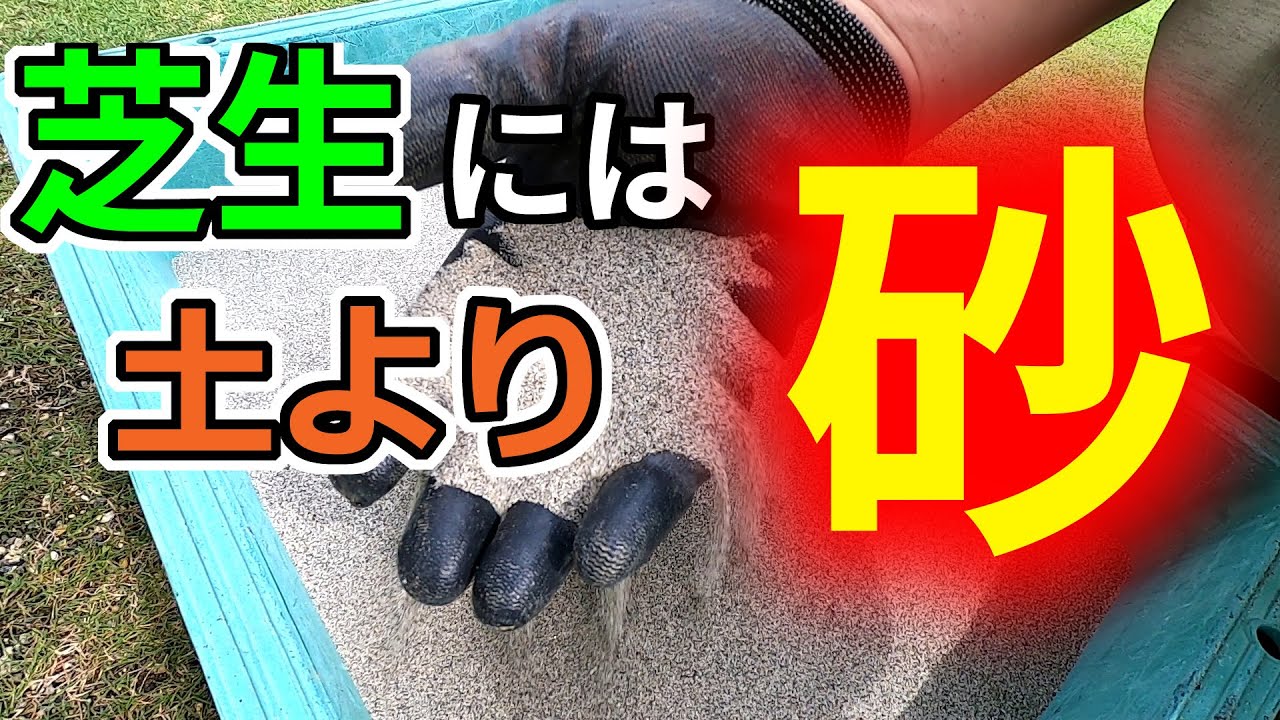 芝生 砂が良い 土よりも砂 床土 目砂 Youtube