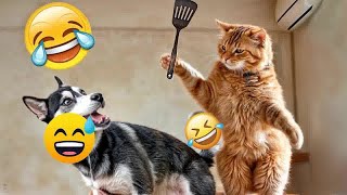 YOU LAUGH YOU LOSE😻Best Funny Animals Video 2024😬🐶