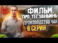 ФИЛЬМ ПРО ТЕГУАНЬИНЬ // ТЕГУАНЬИНЬ // ПРОИЗВОДСТВО ЧАЯ // 6 серия