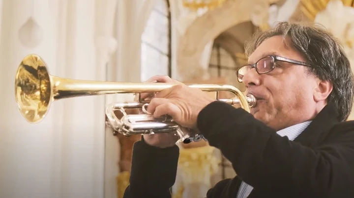 Adams Artist Spotlight: Guido Segers