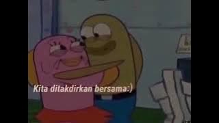 squitwort sad  | sepesial mentahan