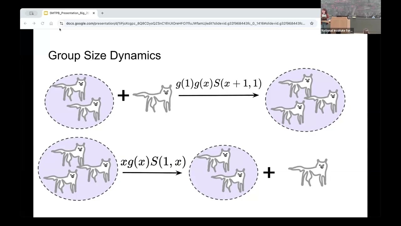 Cooperative hunting and competition for prey shape group formation | Talia Borofsky