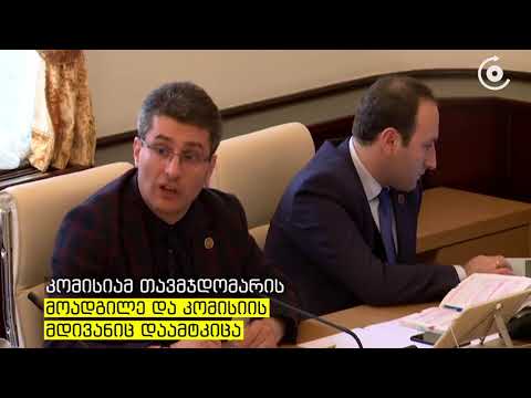 საგამოძოებო კომისიის თავმჯდომარის მოადგილე ანრი ოხანაშვილი, მდივანი კი ოთარ კახიძე იქნება