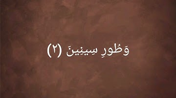 سورة التين للقارئ : محمد محمود درويش