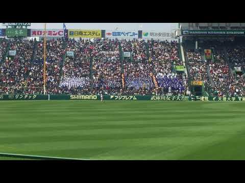 2018/03/25 第90回選抜高校野球　富山商応援団