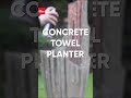 How to make a concrete towel planter.#garden  #gardening  #planter  #onabudget  #howto