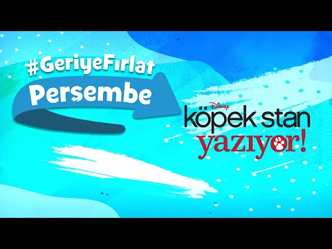 Köpek Stan Yazıyor!🐕 | Geriye Fırlat Perşembe💫 | Disney Channel Türkiye