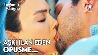 Dudak Dudağa Aşklarını İlan Ettiler... | Doğanın Kanunu 11. Bölüm