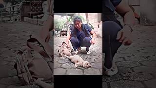 Criminal cat 🤨 | Sleeping City Funk #edit #shorts