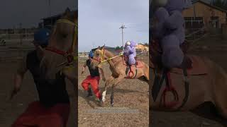 Small Farm Horse Training Hack : The Teddy Bear Method
