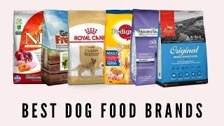 Top 10 best dog foods in india 