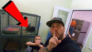 WE SECRETLY FILMED A DOG SHELTER \& FOUND THIS