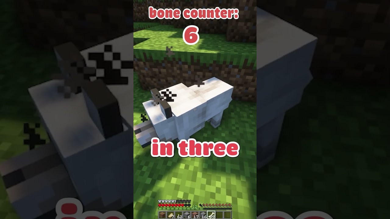 THE RAREST WOLF IN MINECRAFT 