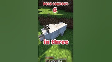 THE RAREST WOLF IN MINECRAFT?!
