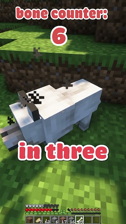 THE RAREST WOLF IN MINECRAFT?!