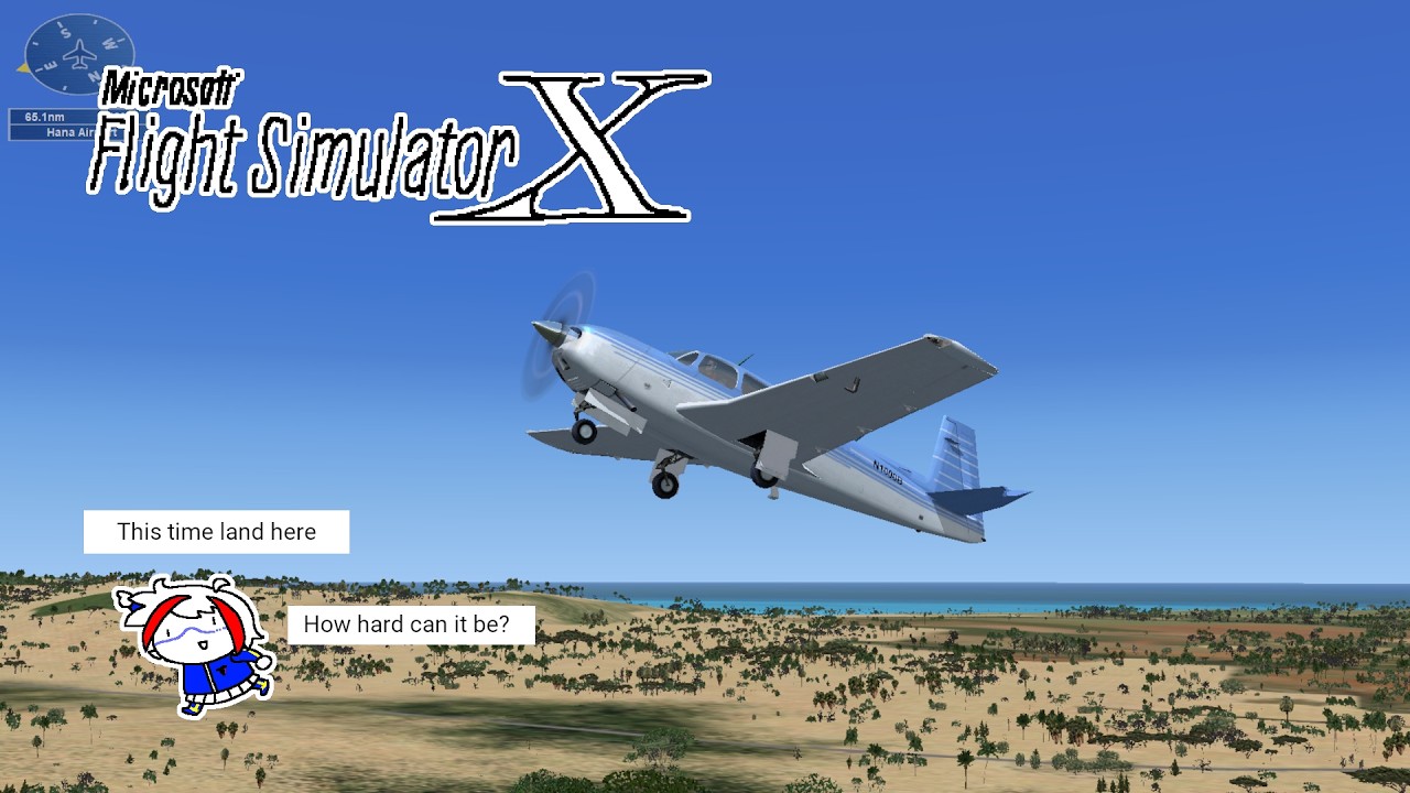 PC] Microsoft Flight Simulator X (2006) #9 - YouTube