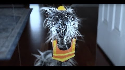 Exceptional Failures - Too Long [Official Music Video]