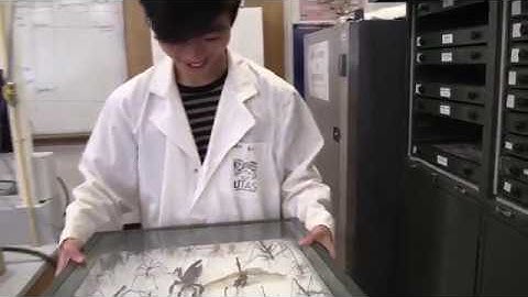 Studying agriculture in Tasmania just makes sense | University of Tasmania