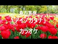 【カラオケ】森内寛樹「アイノカタチ」