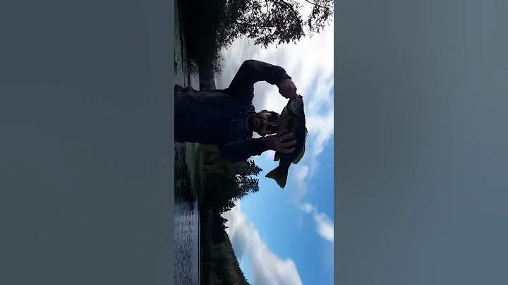 Monster Bass out of Langford Lake