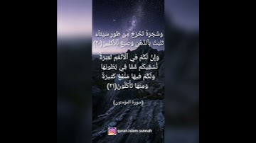 ما تيسر من سورة المؤمنون بصوت الشيخ خالد الجليل         Surah Al-Mu'minun by sheikh Khalid Al jaleel
