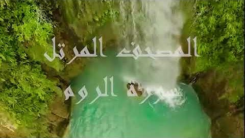 سورة الروم - الشيخ عبد الراضي علي