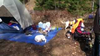 Grouse Camp 2012 Park Falls Wisconsin