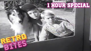 Lassie | 1 Hour Special | Lassie English Full Episodes  🐕