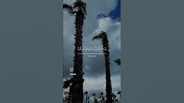 قرآن بصوت الشيخ ياسر الدوسري #تلاوة_خاشعة #قرآن #سورة_المؤمنون #ياسر_الدوسري