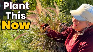 What To Plant in September and Why You Should Too