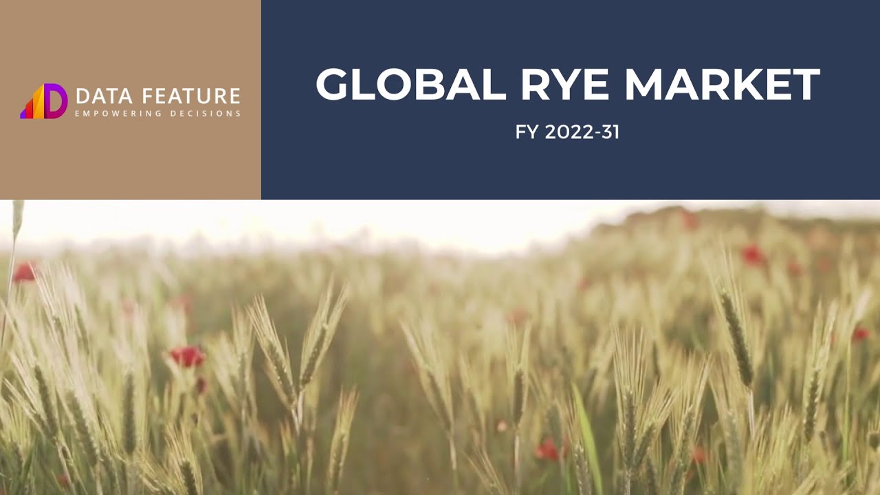 Global Rye Market | Rye Flour | Rye Crop | Data Feature