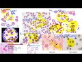 hematology in 10 min:  Peripheral blood smear examination under microscope