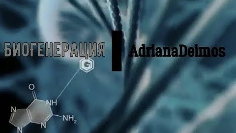 «Пси Фактор: Возрождение» — «БиоГенерация» (Psi Factor: Chronicles of the Paranormal  / The X-Files)