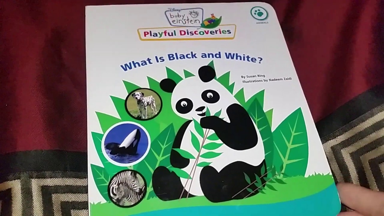 What Is Black And White By Susan Ring Illustrated By Nadeem Zaidi Baby Einstein Playful Discoveries Youtube What Is Black And White By Susan Ring Illustrated By Nadeem Zaidi Baby Einstein Playful Discoveries Youtube